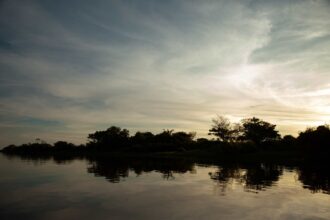 iniciativa-busca-projetos-socioambientais-no-tocantins;-cada-projeto-recebera-r$-65-mil