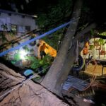 temporal-derruba-arvores,-destroi-telhados-e-causa-queda-de-energia no-sul-de-palmas