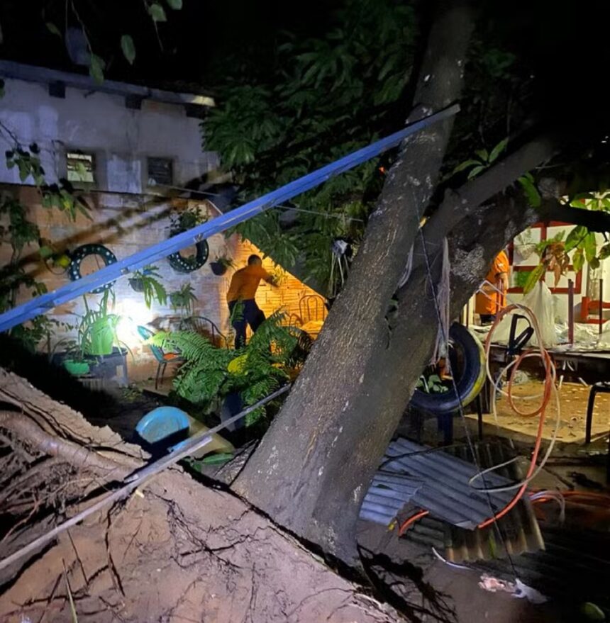 temporal-derruba-arvores,-destroi-telhados-e-causa-queda-de-energia no-sul-de-palmas