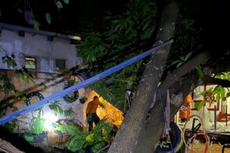temporal-derruba-arvores,-destroi-telhados-e-causa-estragos-em-palmas