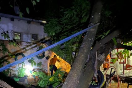 temporal-derruba-arvores,-destroi-telhados-e-causa-estragos-em-palmas