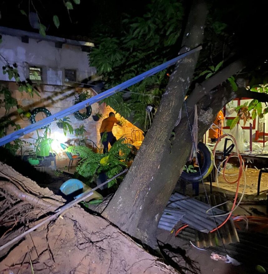 temporal-derruba-arvores,-destroi-telhados-e-causa-estragos-em-palmas