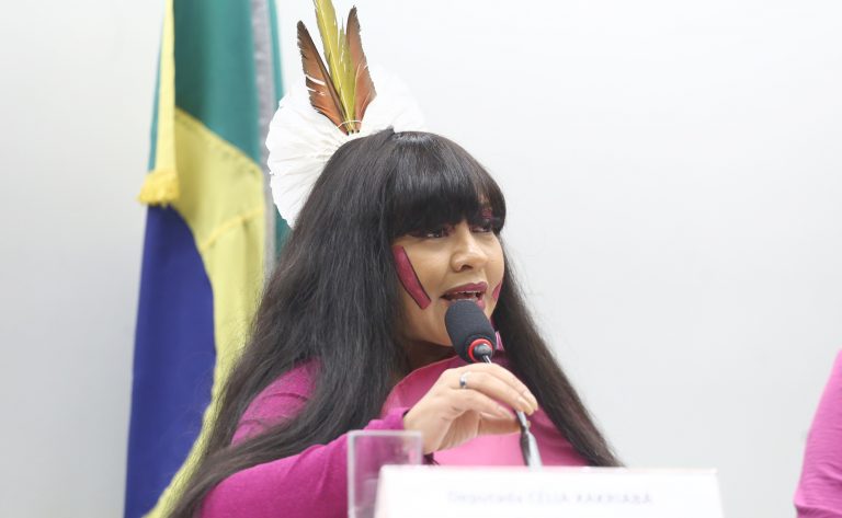 comissao-aprova-preferencia-por-profissionais-mulheres-no-atendimento-a-vitimas-de-violencia-domestica