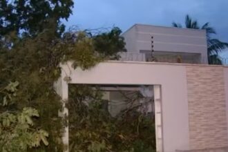 temporal-derruba-arvores-e-deixa-quadras-sem-energia-no-sul-de-palmas