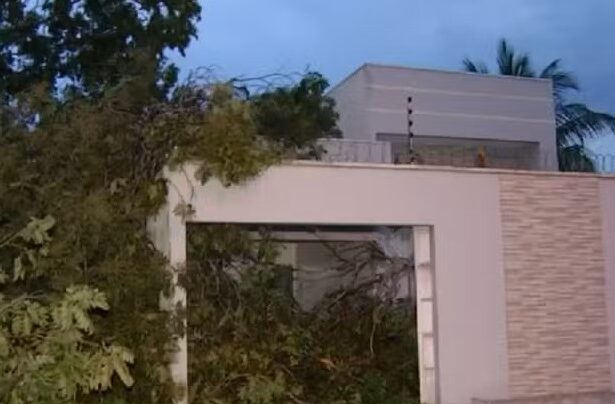 temporal-derruba-arvores-e-deixa-quadras-sem-energia-no-sul-de-palmas
