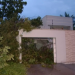 temporal-e-ventania-derrubam-arvores-e-provocam-estragos-em-quadras-da-regiao-sul-de-palmas;-video