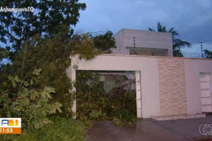 temporal-e-ventania-derrubam-arvores-e-provocam-estragos-em-quadras-da-regiao-sul-de-palmas;-video