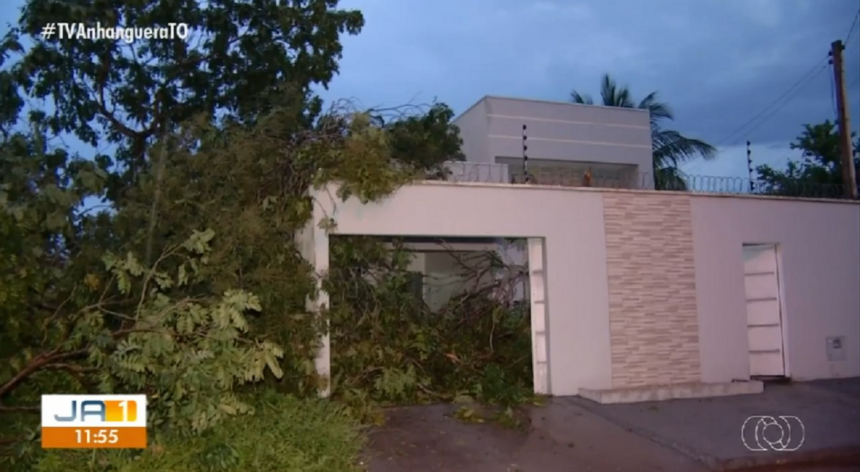 temporal-e-ventania-derrubam-arvores-e-provocam-estragos-em-quadras-da-regiao-sul-de-palmas;-video