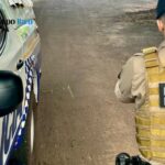 ananas:-gestante-consegue-escapar-de-agressoes-e-denuncia-companheiro