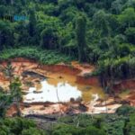 operacao-guiana-shield-mobiliza-quatro-paises-contra-o-garimpo-ilegal-na-amazonia