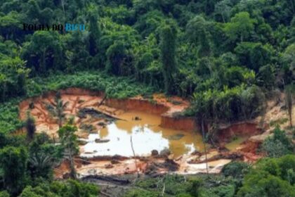 operacao-guiana-shield-mobiliza-quatro-paises-contra-o-garimpo-ilegal-na-amazonia