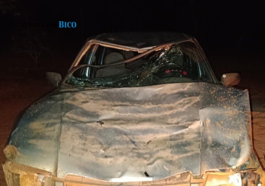 araguatins:-colisao-de-veiculo-com-animal-deixa-mulher-ferida-proximo-ao-povoado-maringa