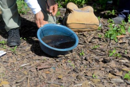 especialistas-do-hdt-apontam-riscos-das-doencas-tropicais-negligenciadas