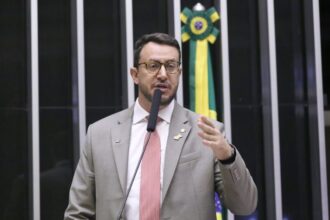 comissao-aprova-regras-para-servicos-de-cuidadores-e-passeadores-de-caes