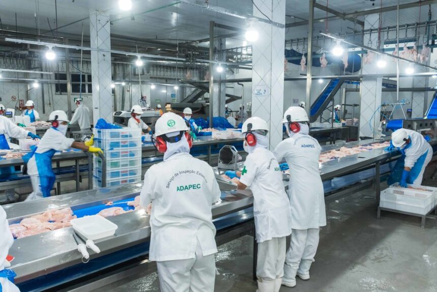 estabelecimentos-com-registro-no-sie-devem-fazer-recadastramento-ate-marco