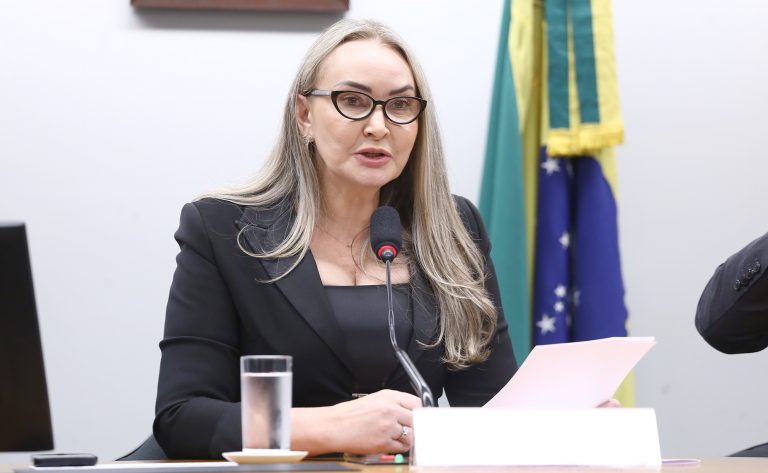 daniela-reinehr-e-eleita-presidente-da-comissao-de-turismo-e-anuncia-plano-de-competitividade