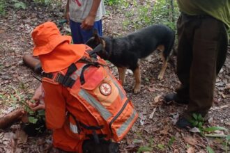 cbm/to-localiza-homem-desaparecido-ha-cinco-dias-na-zona-rural-de-gurupi