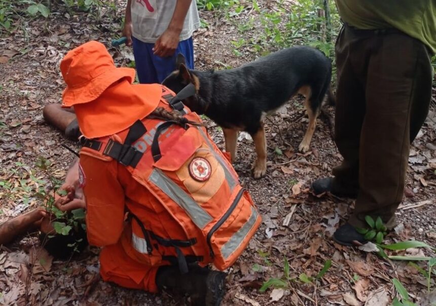 cbm/to-localiza-homem-desaparecido-ha-cinco-dias-na-zona-rural-de-gurupi
