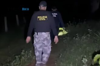 itaguatins:-homem-condenado-por-violencia-sexual-contra-crianca-e-preso