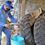 araguaina-enfrenta-epidemia-de-dengue-com-tres-mortes-suspeitas-pela-doenca