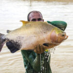 embrapa-e-parceiros-constroem-rede-de-extensao-e-inovacao-em-aquicultura