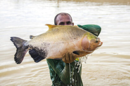 embrapa-e-parceiros-constroem-rede-de-extensao-e-inovacao-em-aquicultura