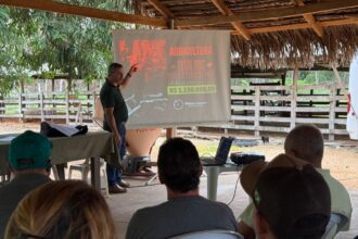 araguatins:-campeao-de-emendas,-wiston-gomes-detalha-destinacao-de-recursos-para-2026.-serao-quase-r$-3-milhoes