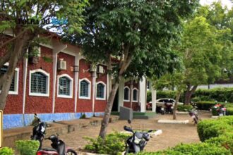 augustinopolis:-municipio-e-certificado-por-acoes-de-combate-ao-assedio-e-incentivo-a-lideranca-feminina