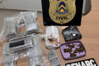 policia-civil-prende-professor-universitario-e-apreende-quase-10-kg-de-drogas-em-araguaina