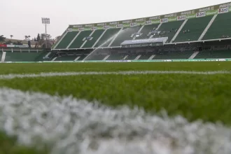 palmeiras-abre-mao-de-r$-14-milhoes-para-trocar-gramado-do-allianz-parque