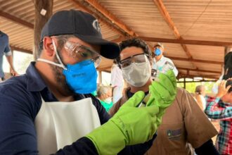 adapec-capacita-produtores-de-ananas-e-santa-tereza-em-vacinacao-contra-brucelose