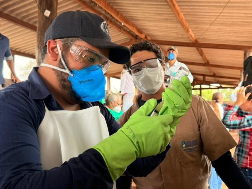 adapec-capacita-produtores-de-ananas-e-santa-tereza-em-vacinacao-contra-brucelose