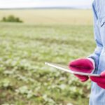 chuvas-de-fevereiro-beneficiam-semeadura-e-desenvolvimento-das-lavouras-no-matopiba