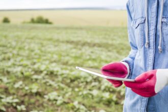 chuvas-de-fevereiro-beneficiam-semeadura-e-desenvolvimento-das-lavouras-no-matopiba