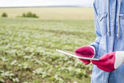 chuvas-de-fevereiro-beneficiam-semeadura-e-desenvolvimento-das-lavouras-no-matopiba