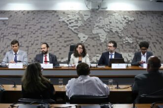 afericao-de-idade-e-medida-de-maior-impacto-no-eca-digital,-diz-representante-do-governo