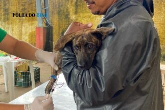 maraba:-comunidade-podera-levar-caes-e-gatos-para-vacinacao-e-exames-gratuitos-este-final-de-semana
