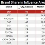 byd-dispara-em-palmas-e-assume-lideranca-do-varejo-impulsionada-pelo-dolphin-mini