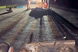 esperantina:-homem-perde-a-vida-apos-acidente-de-moto-durante-a-madrugada