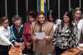 camara-aprova-pena-de-prisao-de-ate-40-anos-para-crime-de-homicidio-vicario