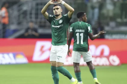 palmeiras-derrota-botafogo-e-assume-lideranca-do-campeonato-brasileiro