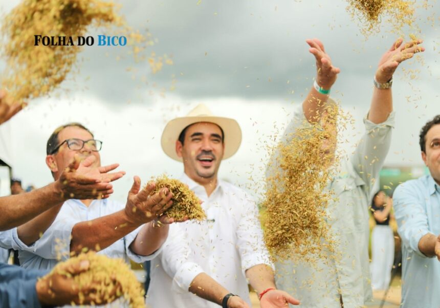 vicentinho-junior-reforca-apoio-ao-agro-durante-abertura-da-colheita-de-arroz