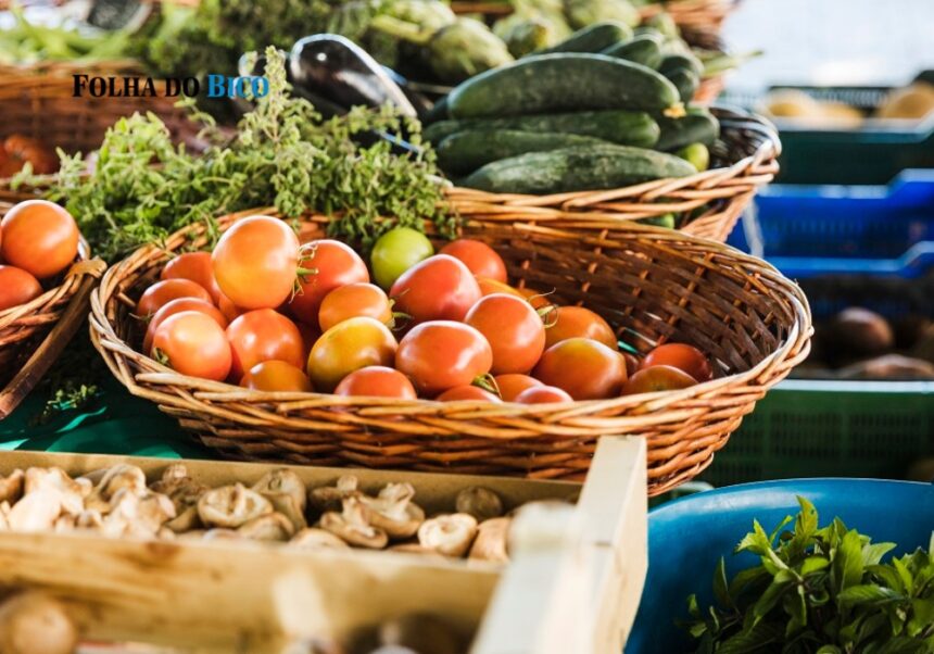 sao-bento:-1a-edicao-da-feira-da-agricultura-familiar-acontecera-no-proximo-dia-31