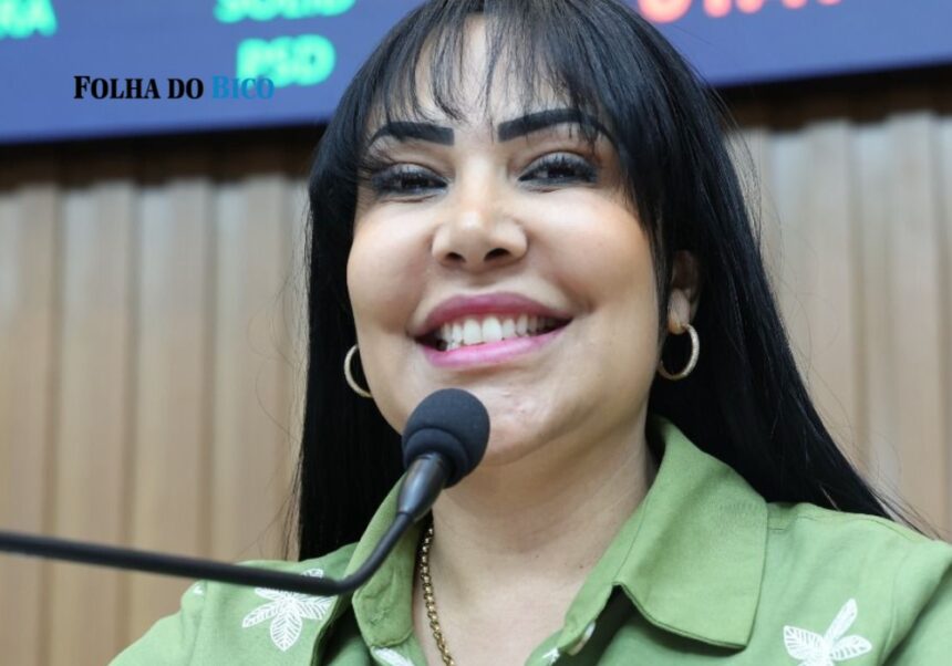 janad-propoe-casa-do-artesao-para-ampliar-renda-e-dar-visibilidade-ao-setor-no-tocantins