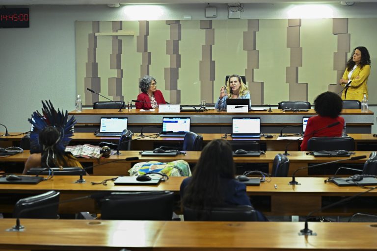 violencia-contra-mulheres-negras-e-indigenas-mobiliza-debate-no-congresso
