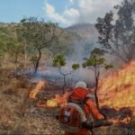 deputada-claudia-lelis-propoe-acao-preventiva-para-reforcar-combate-as-queimadas-no-tocantins