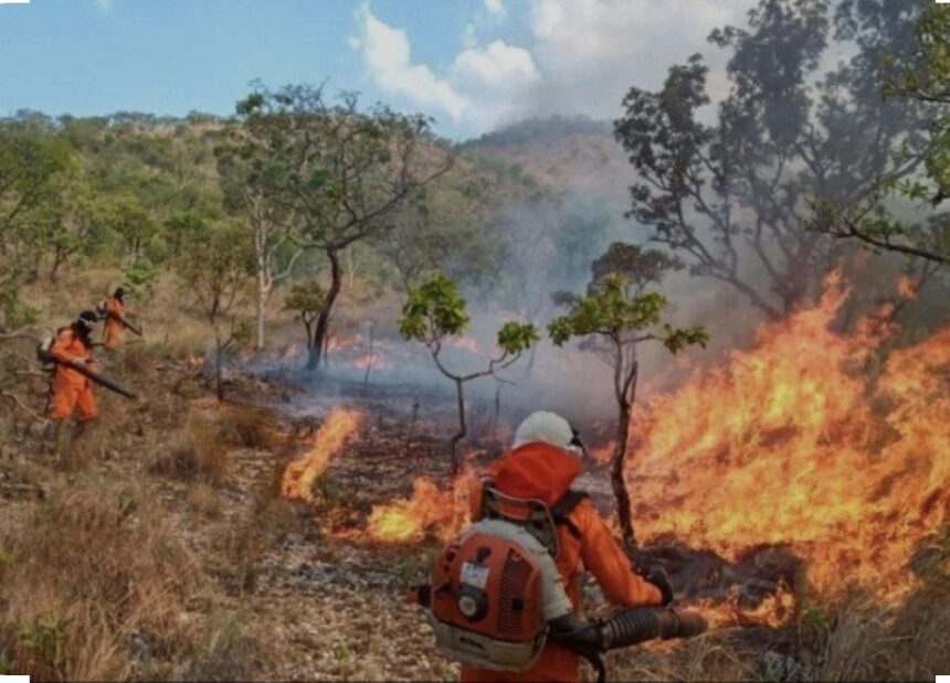deputada-claudia-lelis-propoe-acao-preventiva-para-reforcar-combate-as-queimadas-no-tocantins
