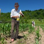 lei-dispensa-multa-para-contar-tempo-de-trabalho-rural-anterior-a-1991-na-aposentadoria