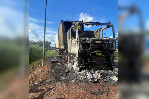 caminhao-com-28-toneladas-de-carne-pega-fogo-na-br-153-no-tocantins