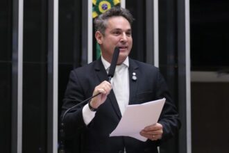 comissao-aprova-proposta-com-regra-para-indenizar-arma-devolvida